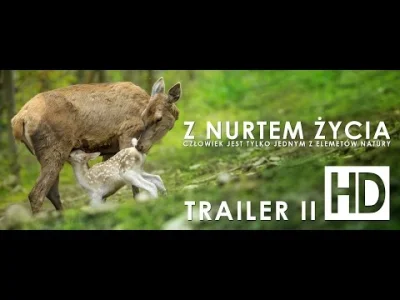 Otter - Wczoraj w Wadowicach odbyła się premiera filmu przyrodniczego o dolinie Skawy...