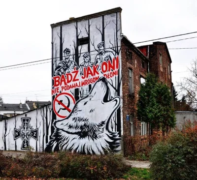 kuriozum5 - #polska #historia #patriotyzm #zolnierzewykleci #mural #4konserwy