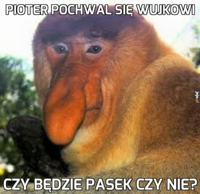 olmaz - #heheszki #polak #humorobrazkowy