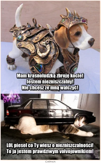 pepies - Takie tam wieczorne heheszki z carswag ( ͡° ͜ʖ ͡°)
#heheszki #volvofanclub ...