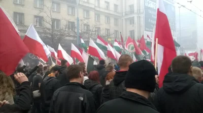 macan - A to jeszcze akcent z Węgrami na marszu :) 

Było też śpiewanie " Polak, Wę...