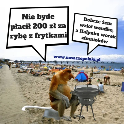 nosaczepolaki - #nosacz #polak #nosaczsundajski #janusze #heheszki #wakacje