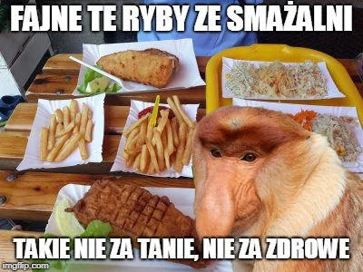 limonkowykwas - #polak #heheszki #humorobrazkowy #januszebiznesu