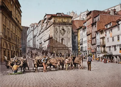 myrmekochoria - Portugalia, 1903 rok. Wrzucałem chyba kiedyś, ale bardzo ładne koloro...