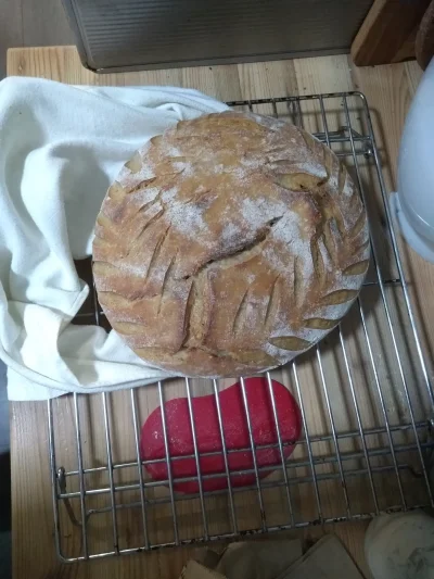 tptak - @her_flik: ten Twój chleb jest piękny. Nie pozwól sobie wmówić, że nie jest, ...
