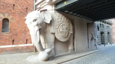 Zapaczony - @kony_91: A słonia ze swastyką przy bramie widziałeś?