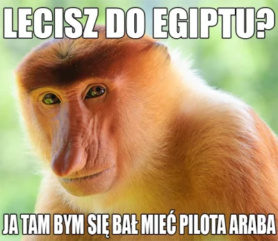 AsuriTeyze - #polak #heheszki #zagranico #egipt
SPOILER