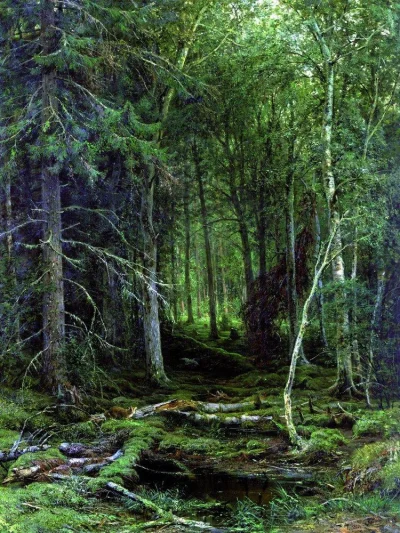 Espo - Ivan Shishkin - "Backwoods" (1872)



Piękne :o



#sztuka #malarstwo #realizm