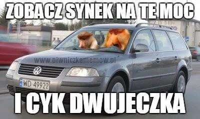 paprykarzszczecinski1 - @MirkoFanatyk: wiadomo ze passat b5