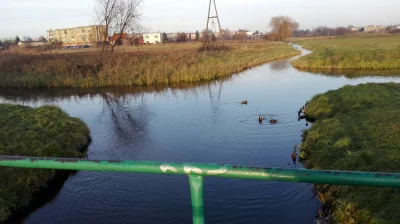 Sadam92 - @kibiklops: Generalnie fajna okolica. Byłem w zeszłym roku w listopadzie to...