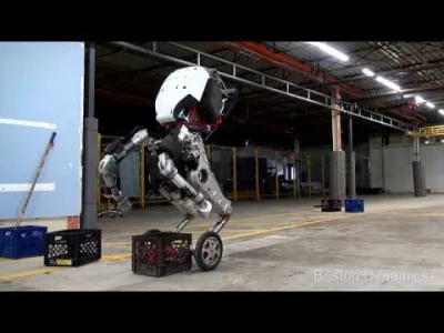 tari - Trzyma rączki do tyłu jak nowy robot od Boston Dynamics ( ͡° ͜ʖ ͡°)