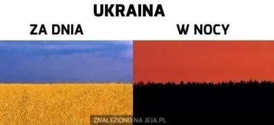 LordSkoczek - Wincyj wincyj bandersynów do Polski !!!! Jak tak dalej pójdzie to w prz...