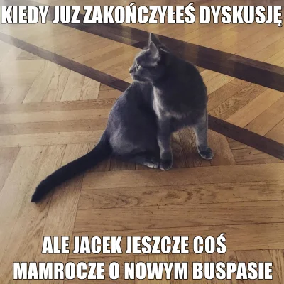 gunwooo - #kotekwrocek #heheszki #humorobrazkowy #wroclaw