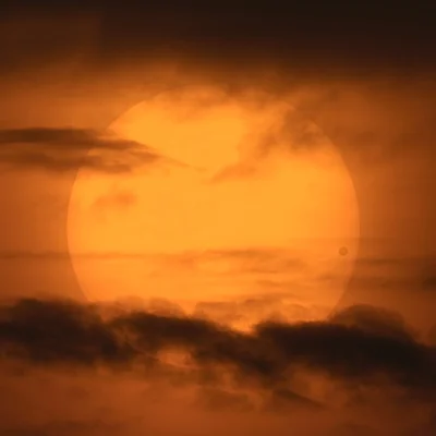 s.....w - Tranzyt Wenus na tle słońca. Rok 2004

Źródło: David Cortner
#ciekawostki #...