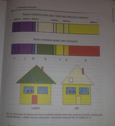 Bezsprzecznie - Pierwsze sekundy filmu i już nieprawdziwa informacja. Psy wcale nie w...