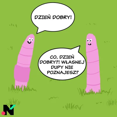 tor_Arka - #heheszki #humorobrazkowy #dziendobry