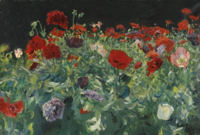 kwiatencja - John Singer Sargent Poppies 1886

Dziś Sargent 

#malarstwo #sztuka ...