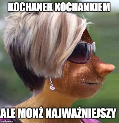 kosowiczJan - #grazynacore #logikarozowychpaskow