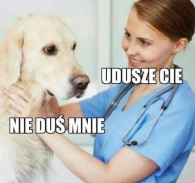 OstatniZnak - #pdk #memy #humorobrazkowy