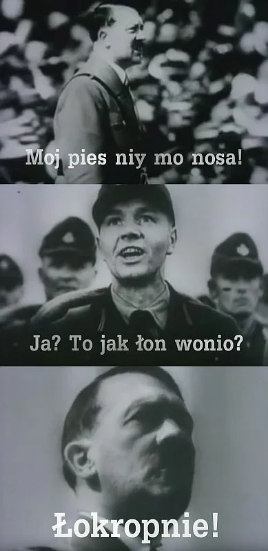 daedalus_pl - Wkurzało mnie, że słynny suchar Hitlera ze skeczu Monty Pythona o najza...