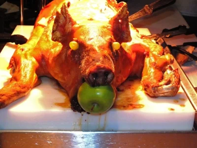 N.....i - Dlaczego tak wiele świń umiera podczas próby zjedzenia jabłka? #kiciochpyta...