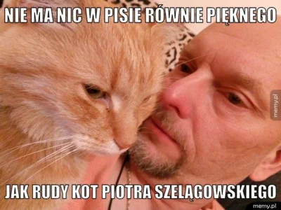 ElkoElko - Taki tam żarcik o PISie :P #pis #polityka #poznan #koty #szelagowski