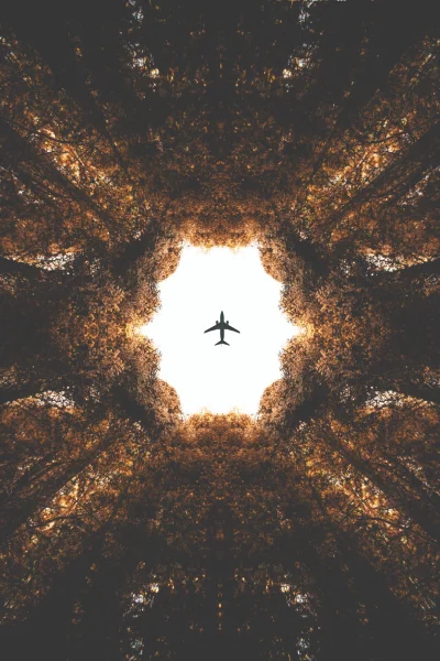 iwarsawgirl - Fot. Andy To
#fotografia #samoloty i trochę #nieboperfekcjonistow