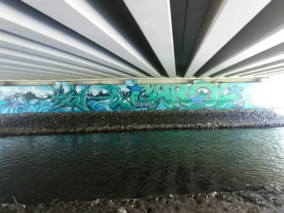 DziecizChoroszczy - #rybnik #graffiti #sztuka #streetart #malarstwo #sztukauliczna
Wc...