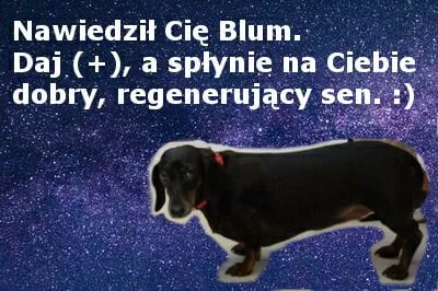 PLTR2016 - @PLTR2016: Blum również ( ͡° ͜ʖ ͡°)