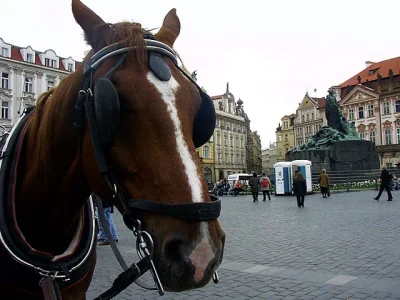 StaryWedrowiec - > Na nogi się nikt nikomu nie patrzył, żeby sprawdzić, czy ktoś ma b...