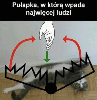 mirvbel - #heheszki #humorobrazkowy #koty