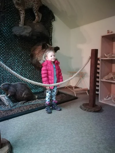 aaadam91 - Nowy eksponat w muzeum myślistwa.
#heheszki #myslistwo #zwierzeta