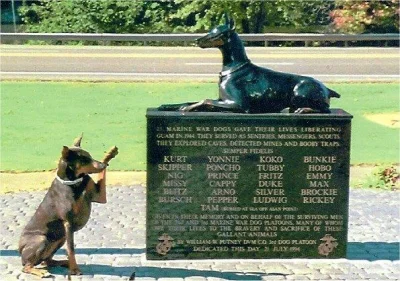 m.....z - doberman ,,salutujący'' pod pomnikiem na cześć 25 poległych w 1944 roku pod...