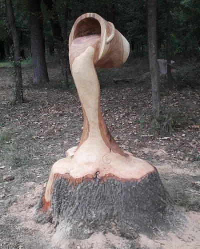 Zdejm_Kapelusz - Rzeźba z drewna.

#ciekawostki #rzezba #drewno #handmade #rzemiosl...