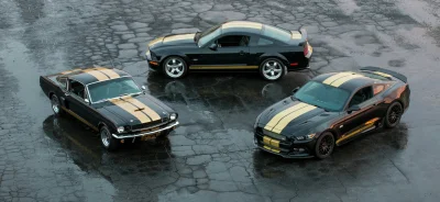 D.....k - 3 pokolenia Mustanga na jednym zdjęciu (ʘ‿ʘ)


#ford #carboners #samochody ...