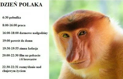 f.....d - a od jutra znowu to samo #polak