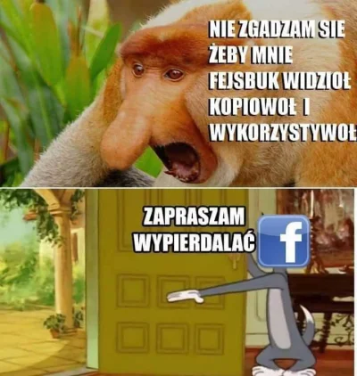 Lapidarny - ( ͡° ͜ʖ ͡°) #facebook #nosaczsundajski #polak