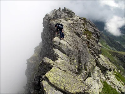 kamiltatry - @nexiplexi: zdjęcie z lipca 2014