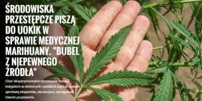 Pshemeck - #marihuaen #marihuana #ASZdziennik #pewniebyloaledobre