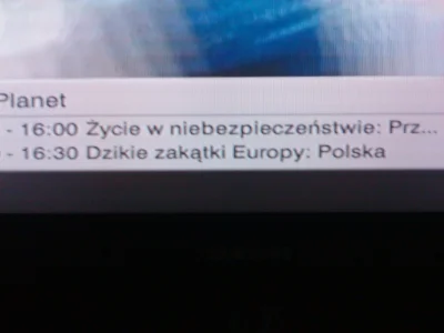 Bajzel2012 - #humorobrazkowy #telewizja