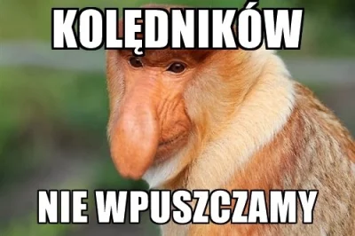 mailo - #heheszki #swieta #wigilia #polak #nosaczsundajski