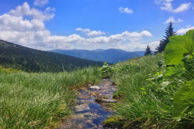 smieszeklukasz - #gory #karkonosze #szklarskaporeba
Okolice Labskiej Boudy, 14.06.20...