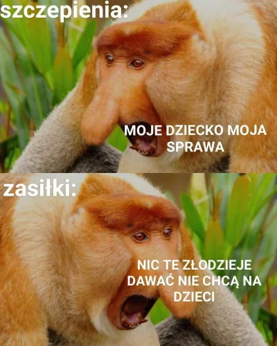 s.....j - #madki #bekazpodludzi #nosaczsundajski