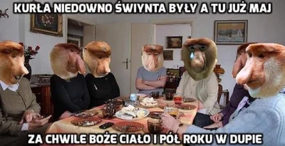 Fajnisek4522 - #polak #nosaczsundajski #heheszki #humorobrazkowy