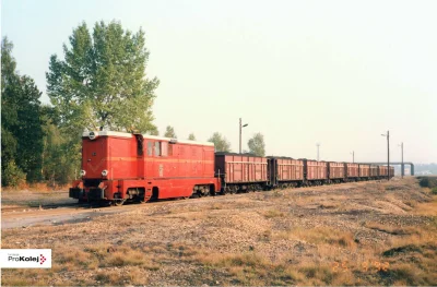 KapralWiaderny - > Lxd2 365 na stacji Paulina (Katowice Szopienice). 25 września 1992...