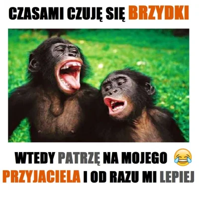 b.....n - #heheszki #logikaniebieskichpaskow #przyjazn 
Ciekawe ile "przyjaźni" jest...