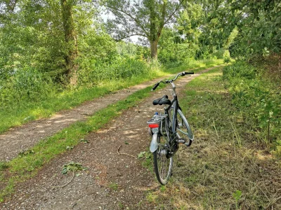 IkBenPool - My też mamy las w Holandii. Cały jeden (｡◕‿‿◕｡)ʕ•ᴥ•ʔ

#rower #rower #hola...