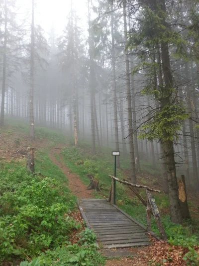 choochoomotherfucker - A wy co, nadal na Czantorię wjeżdżacie wyciągiem? Patrzcie, co...