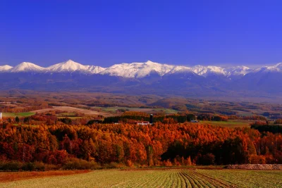 Lookazz - > Biei, Hokkaido
#dzaponialokaca <==== czarnolistuj
#gory #earthporn #fot...