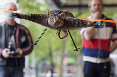 rzadenproblem - @jesse_pinkman: genialne! A tutaj kot maskujący drona.